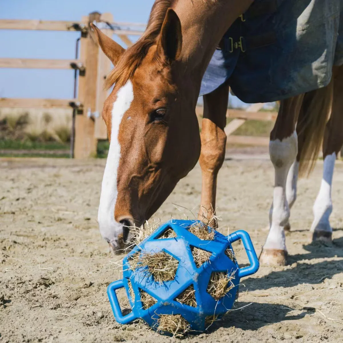KENTUCKY PALLA RELAX HORSE PLAY&HAY Royalblue accessori per il cavallo - immagine 3