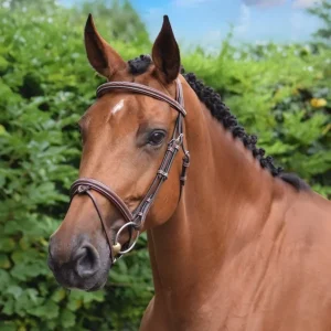 Testiera In Cuoio Paris Jump'In Marrone