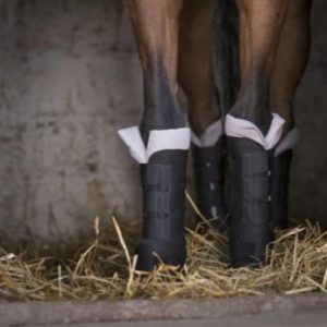 NORTON Norton Set N.2 Sottofasce E Stinchiere Da Riposo Black Fasce E Sottofasce