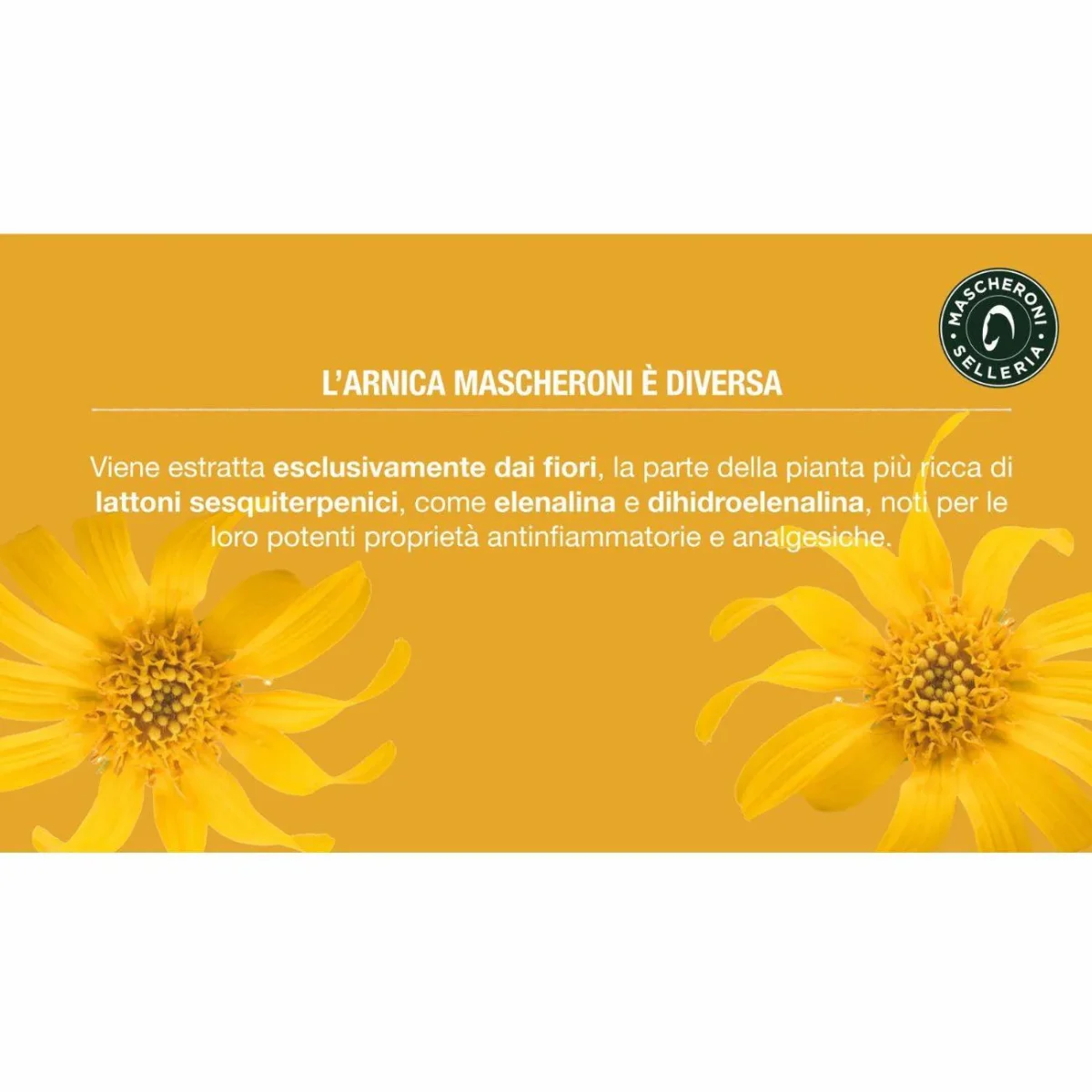 ARNICA NATURALE 90 - 500ML - immagine 6