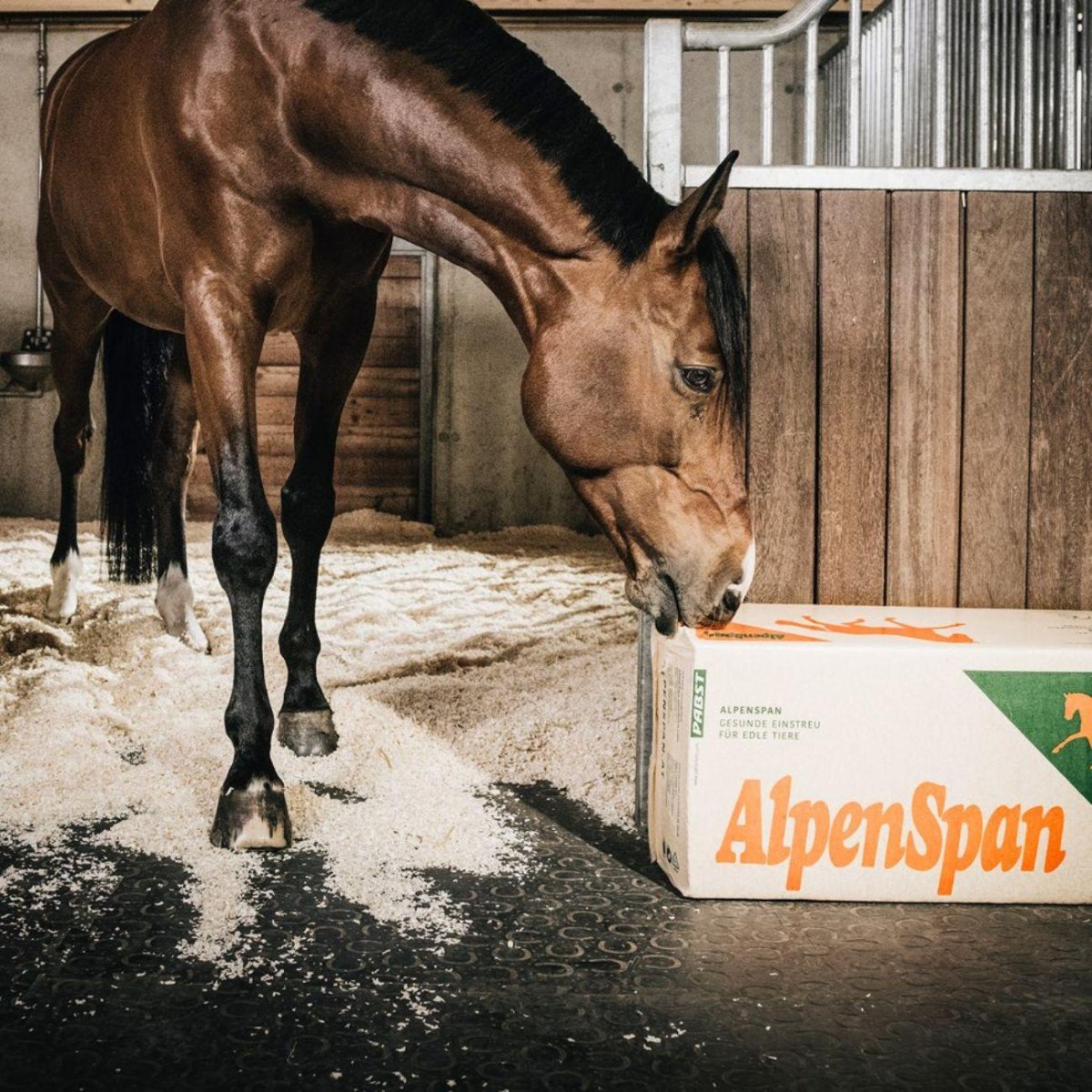 Trucioli Per Lettiera 20kg Alpenspan - immagine 4