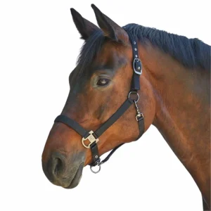 Waldhausen CAPEZZA NYLON Nero CAPEZZINI E CAPEZZE