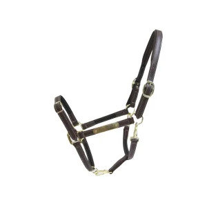 Capezza In Cuoio Flex Con Targhetta Kentucky