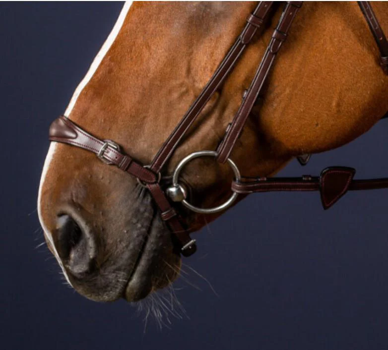 DY'ON PARTE INFERIORE IN CUOIO PER TESTIERA NEW ENGLISH COLLECTION Marrone TESTIERE - immagine 3