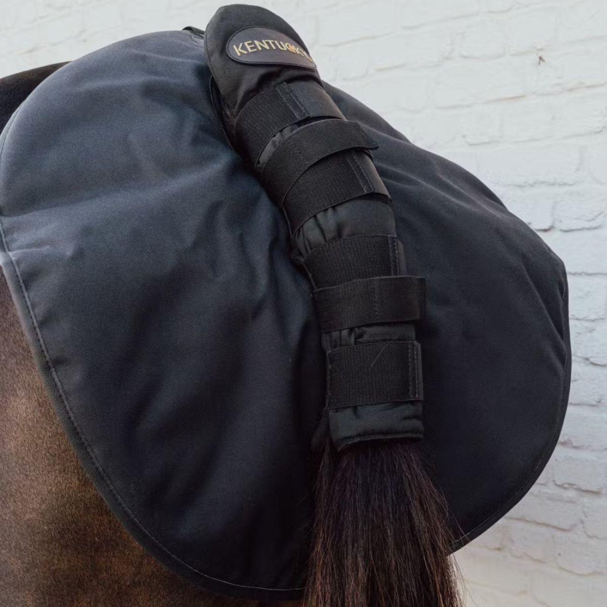 KENTUCKY QUARTER GUARD Nero paracolpi da trasporto - immagine 3