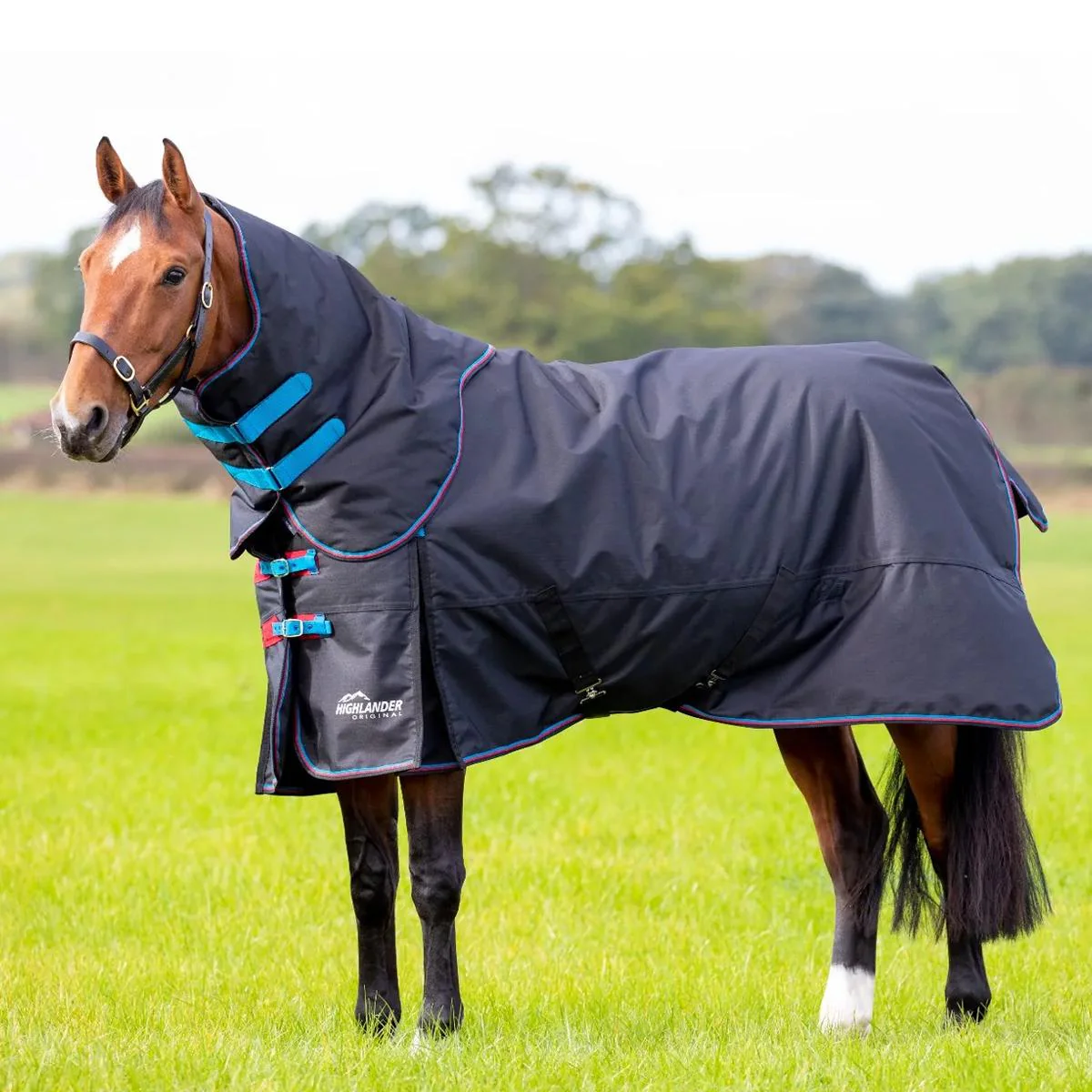 SHIRES EQUESTRIAN COPERTA DA PADDOCK CON COLLO 200 GR Nero COPERTE DA PADDOCK
