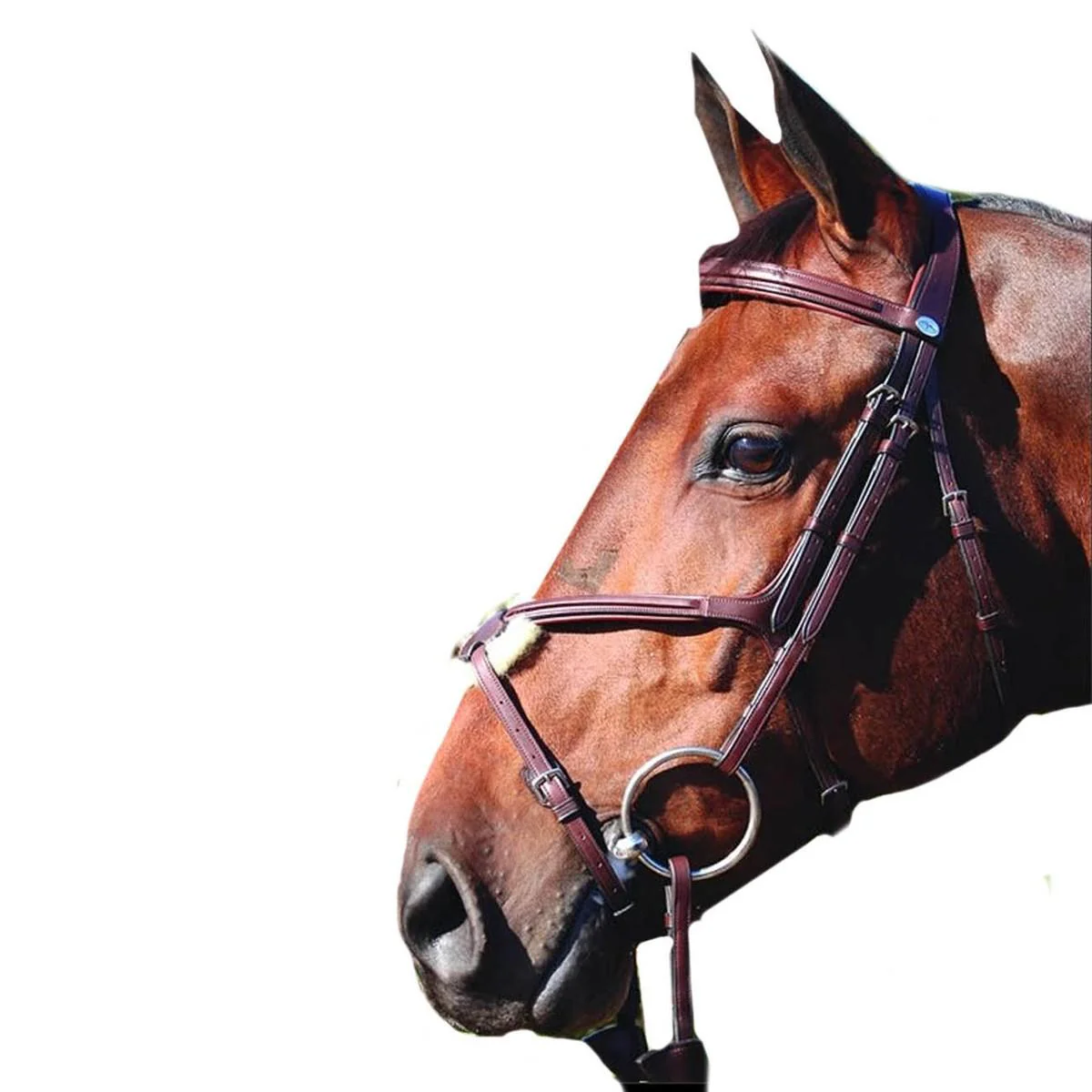 DY'ON TESTIERA CAPEZZINO INCROCIATO+REDINI IN CUOIO DYON Marrone TESTIERE