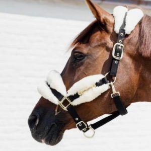KENTUCKY NYLON SHEEPSKIN HALTER SOFT KENTUCKY Bianco capezza per stalla e paddock