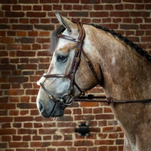 DY'ON TESTIERA IN CUOIO CAPEZZINO INCROCIATO CLASSIC COLLECTION Marrone TESTIERE - immagine 3