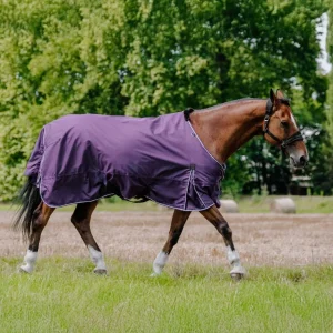 Coperta Turnout Tyrex Asiance 600D Equitheme