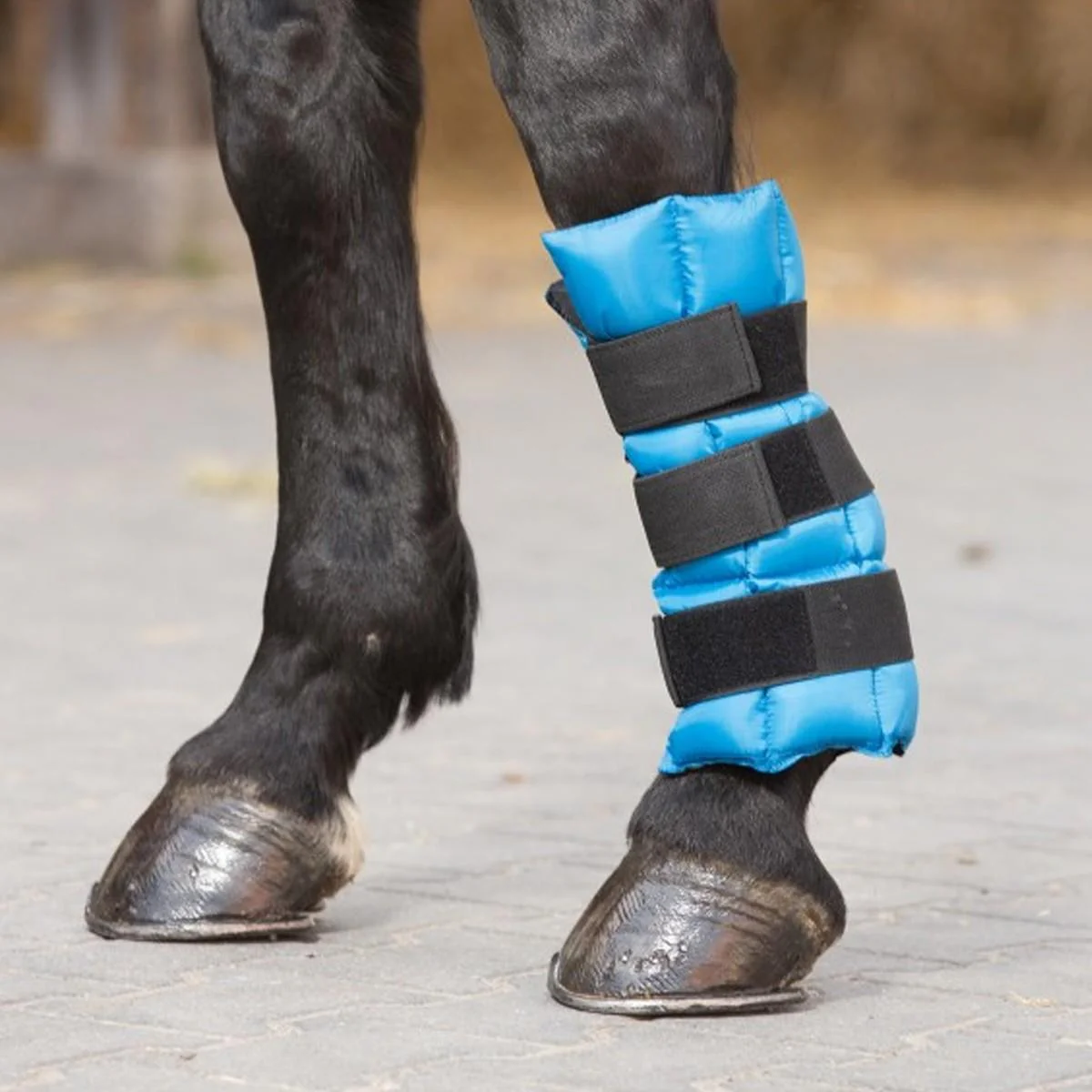 Fascia Refrigerante Waldhausen - immagine 3