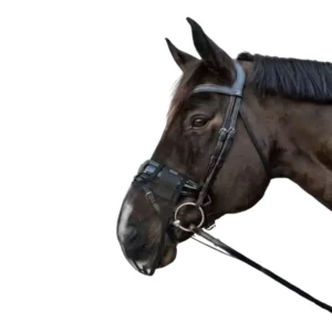 Rete Antimosche Per Naso Kentucky