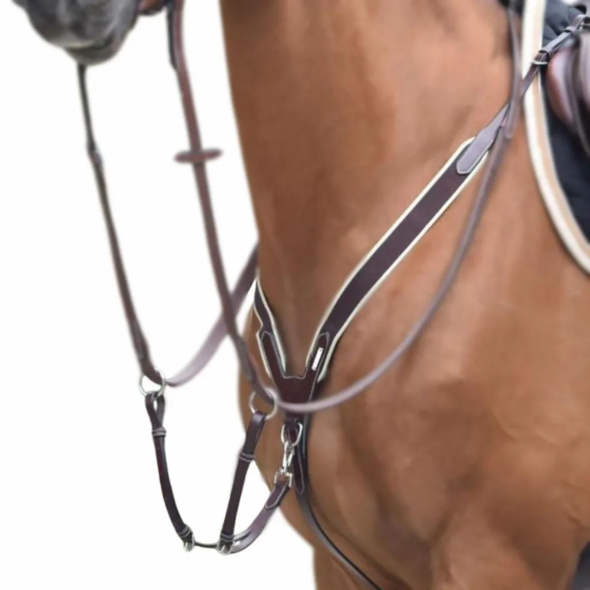 JUMP'IN COLLIER DE CHASSE ELASTICO E MARTINGALA BICOLOR JUMP'IN Marrone martingale e forchette CCOELMARRONE