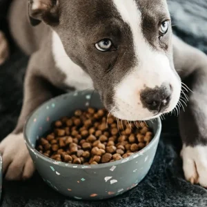 KENTUCKY CIOTOLA IN BAMBOO 17,5 * 6,5 CM Grigio accessorio per cani