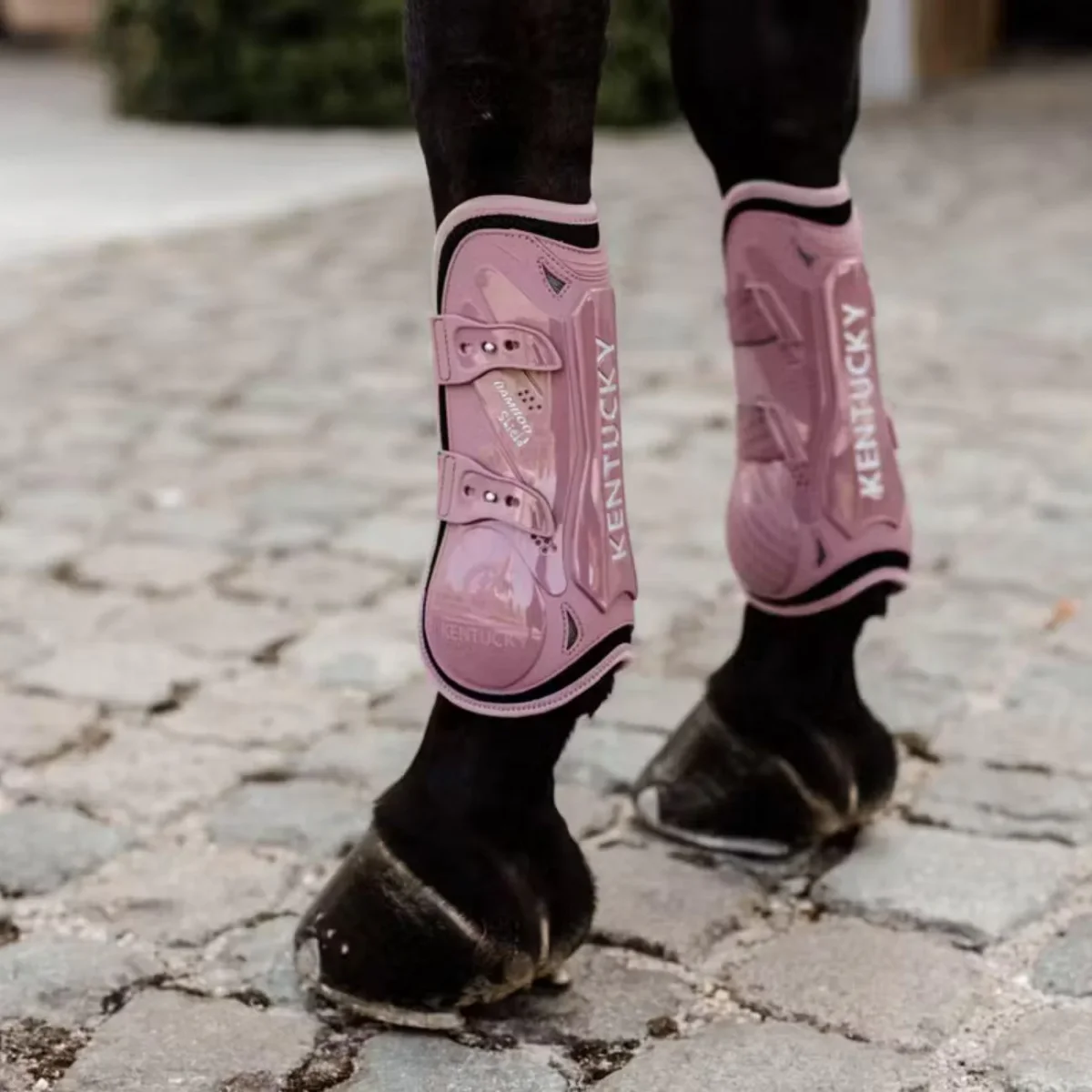 KENTUCKY PARATENDINI IN BAMBÙ ELASTICO KENTUCKT Rosa stinchiere - immagine 5