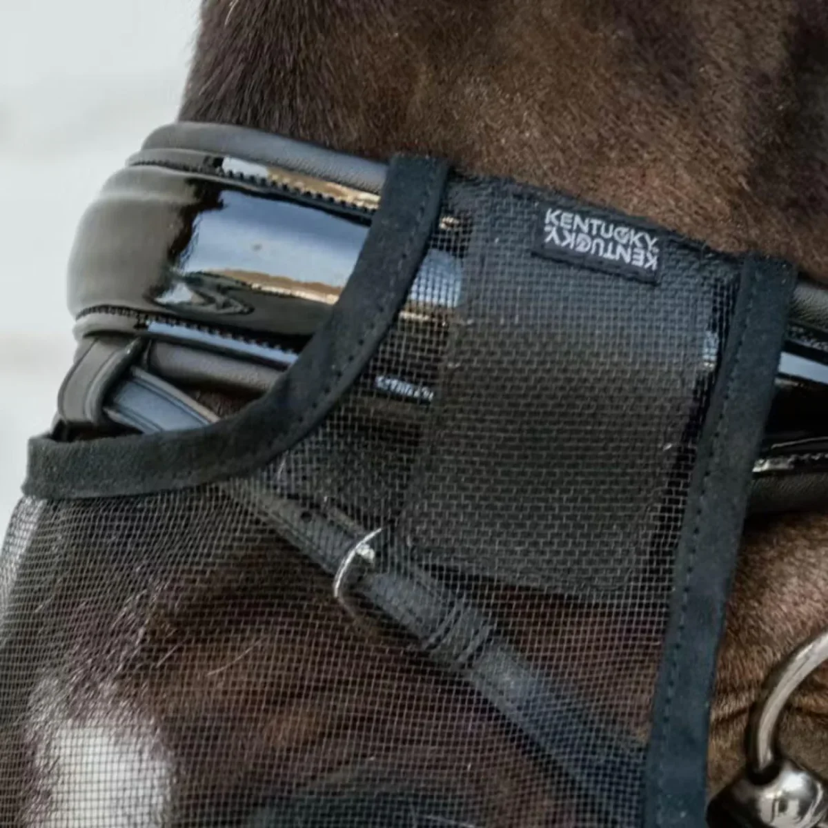 Rete Antimosche Per Naso Kentucky - immagine 3