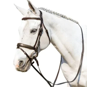 WINNER 09SA48538MARRONE Marrone BRIGLIE