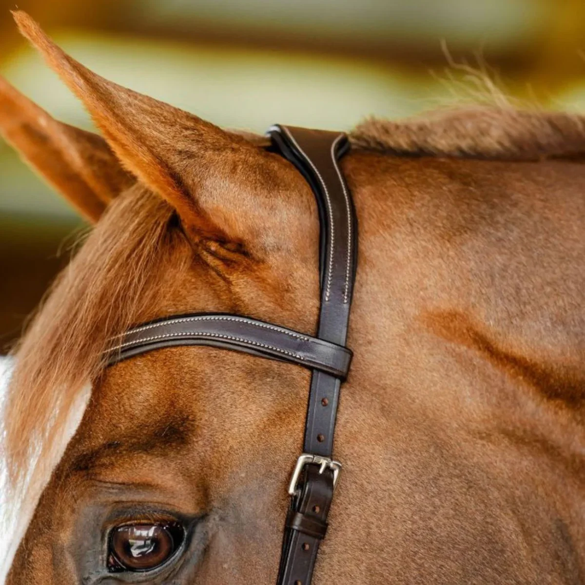 TESTIERA MICKLEM COMPETITION HORSEWARE - immagine 6