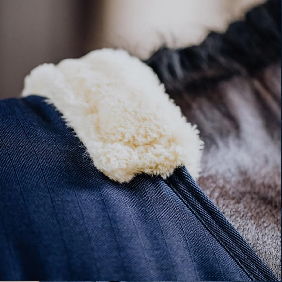 Coperta Da Box Stable Rug Classic 100gr - immagine 5