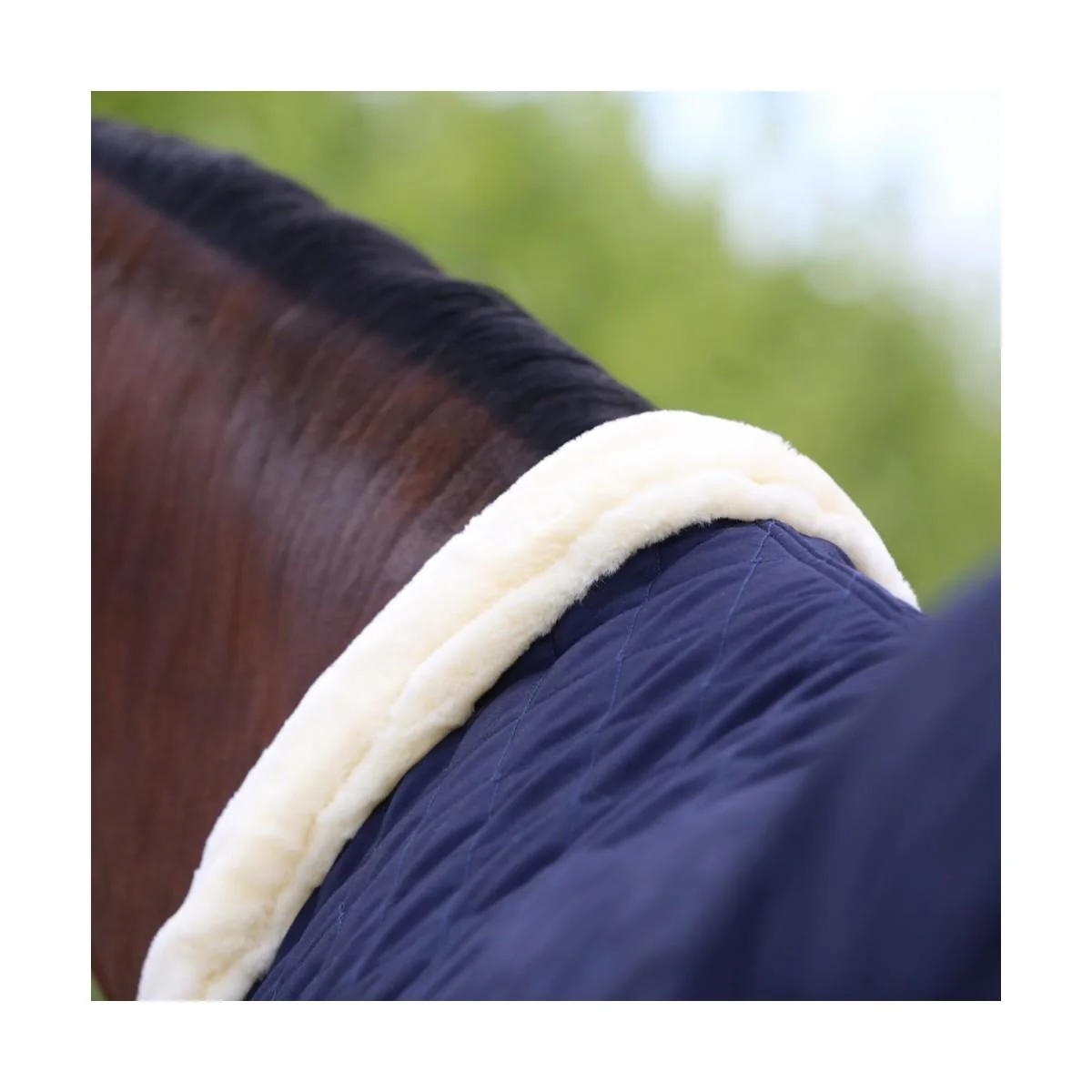 Coperta Da Box Tiny 400gr Kentucky Blu - immagine 3