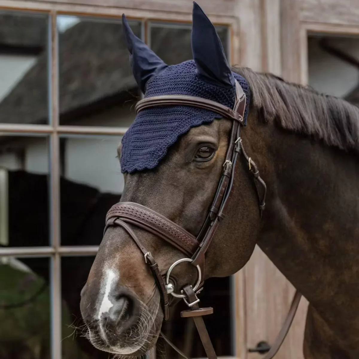 KENTUCKY FLY VEIL WELLINGTON WAVE KENTUCKY Blu cuffie antirumore - antimosche - immagine 3