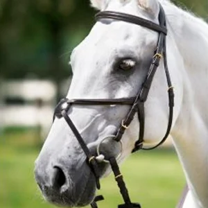 TATTINI TESTIERA IN CUOIO COMPLETA CON CAPEZZINO INCROCIATO Marrone per testiere