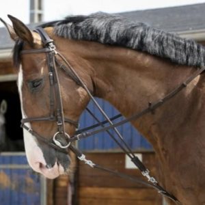 RIDING WORLD Gogue Con Moschettoni BLACK salvaschiena per sella inglese