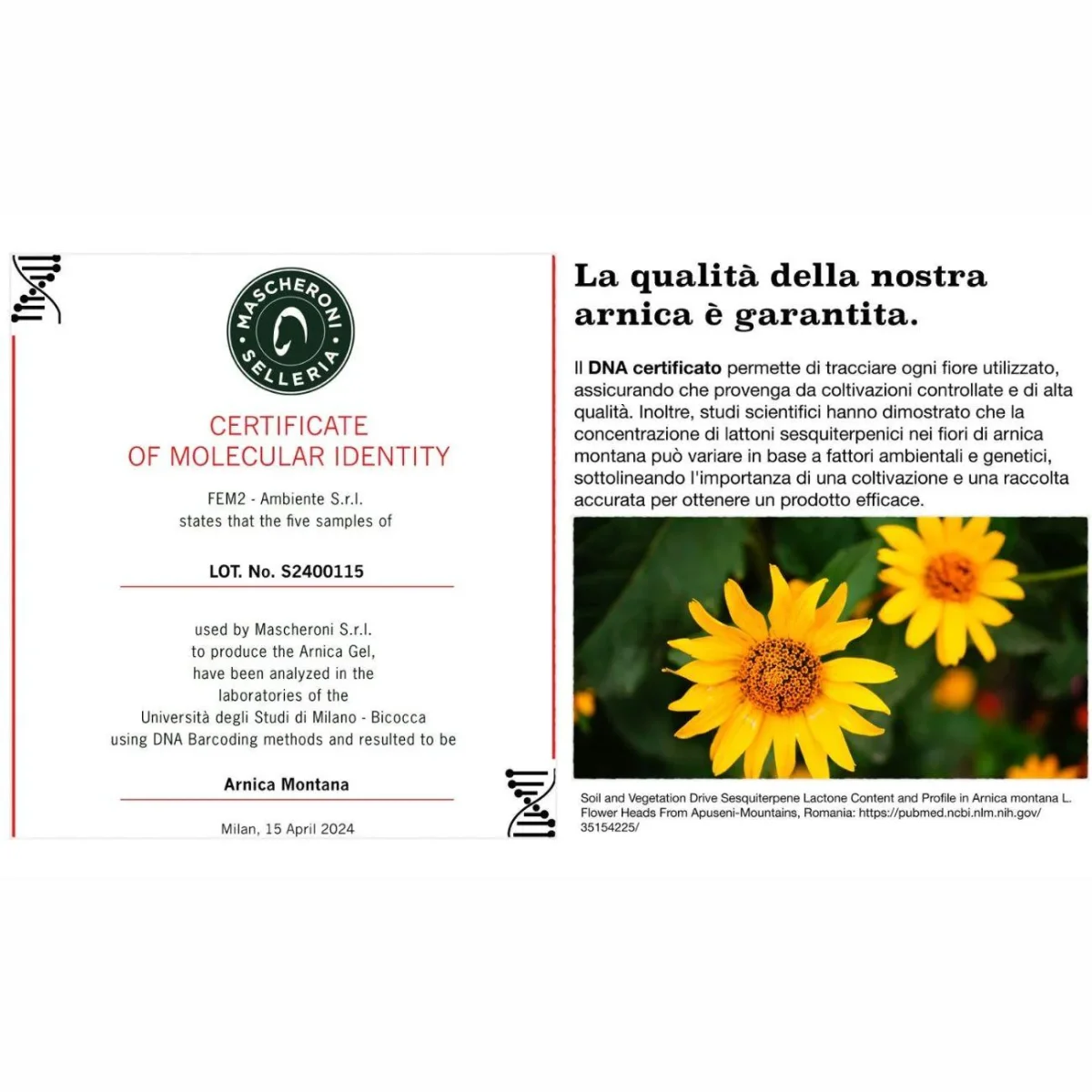 ARNICA NATURALE 90 - 500ML - immagine 7