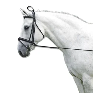 Gogue Elastico Waldhausen