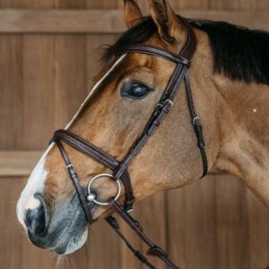 DY'ON PLAITED FLASH NOSEBAND BRIDLE NEW ENGLISH Marrone TESTIERE