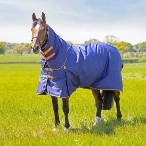 SHIRES EQUESTRIAN COPERTA DA PADDOCK CON COLLO 100 GR Blu COPERTE DA PADDOCK