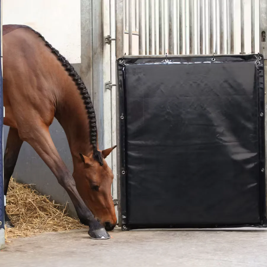 Protezione Per Box Kick Pad 100cm X 120cm Kentucky - immagine 3