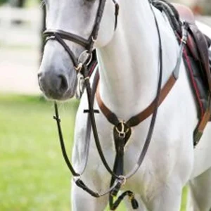 TATTINI PETTORALE ELASTICO A Y CON MARTINGALA Marrone per pettorali