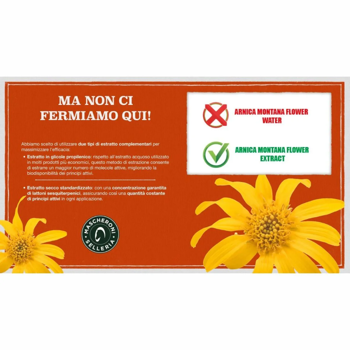 ARNICA NATURALE 90 - 500ML - immagine 8
