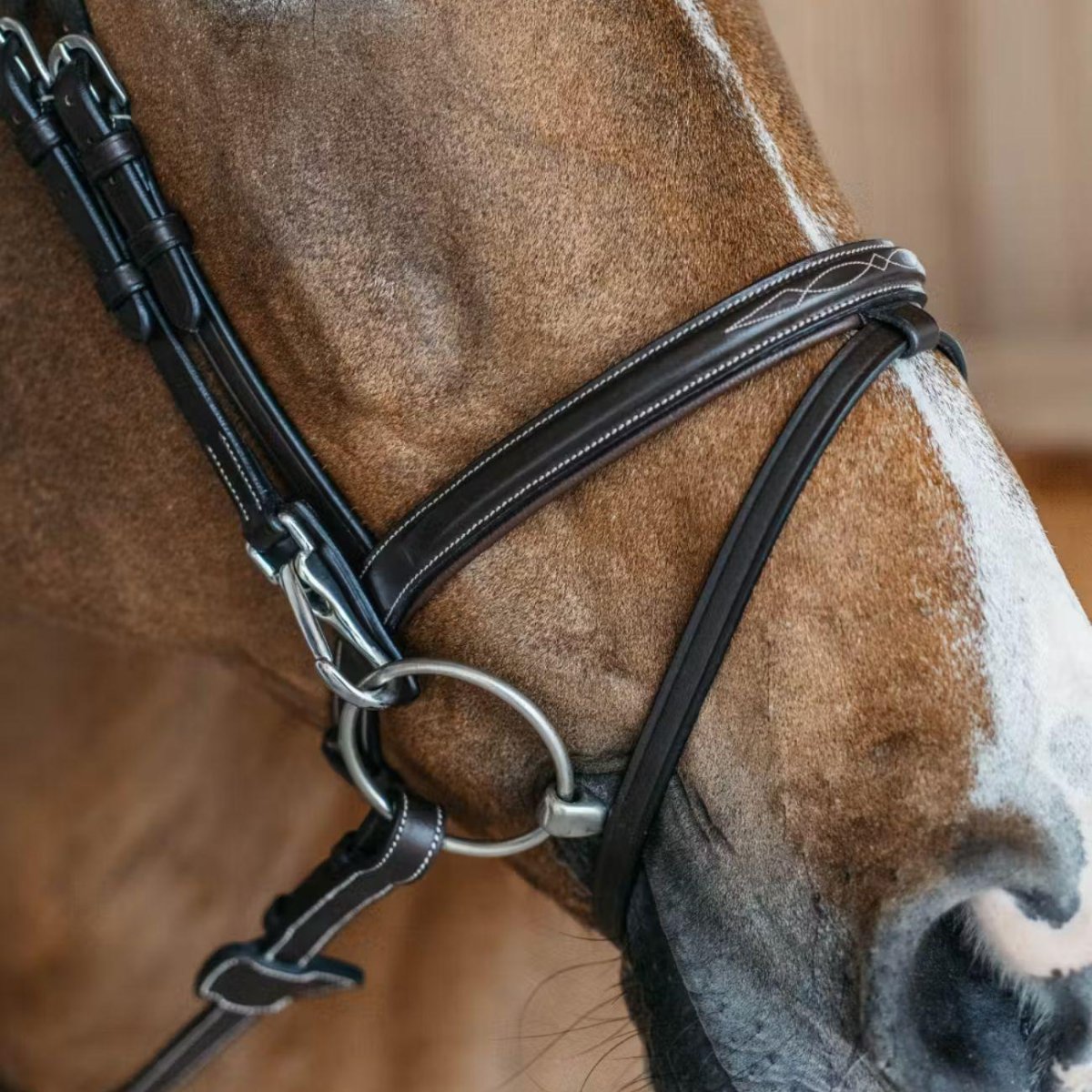 TESTIERA CON CAPEZZINA FLASH E MOSCHETTONI DY'ON - immagine 5