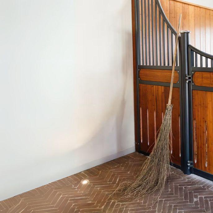 Scopa In Bamboo Grooming Deluxe - immagine 3