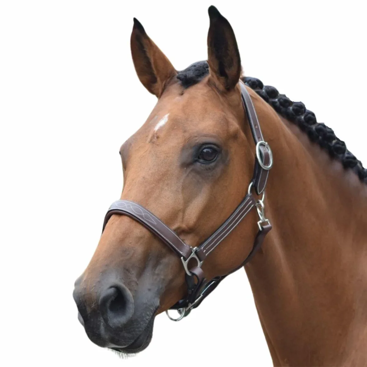 JUMP'IN CAPEZZA - COLLECTION ONE JUMP'IN Marrone capezzini e capezze LOFAMARRONE