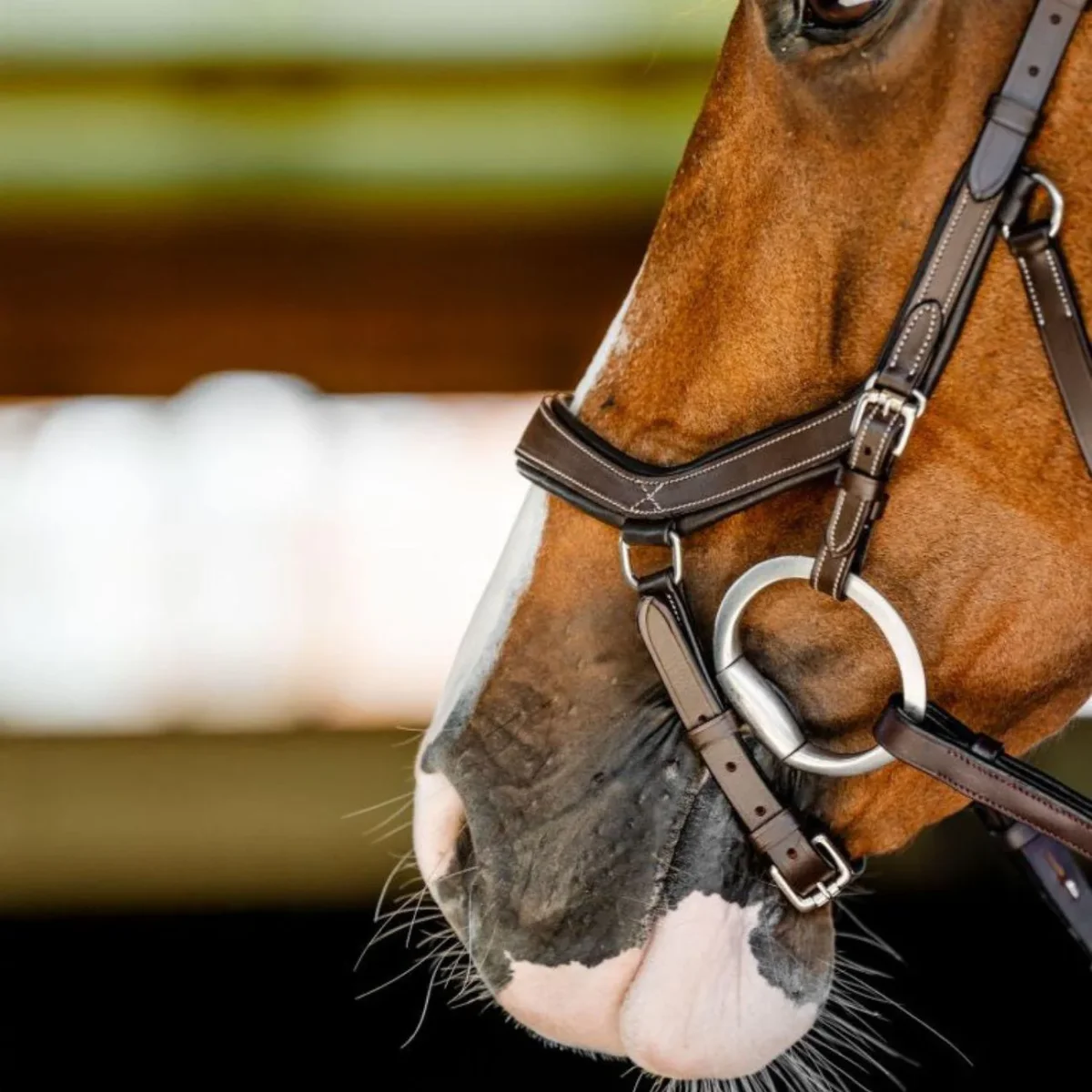 TESTIERA MICKLEM COMPETITION HORSEWARE - immagine 5