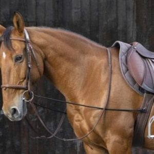 NATHE GOGUE ELASTICO NATHE Nero - GOGUE E ABBASSATESTA