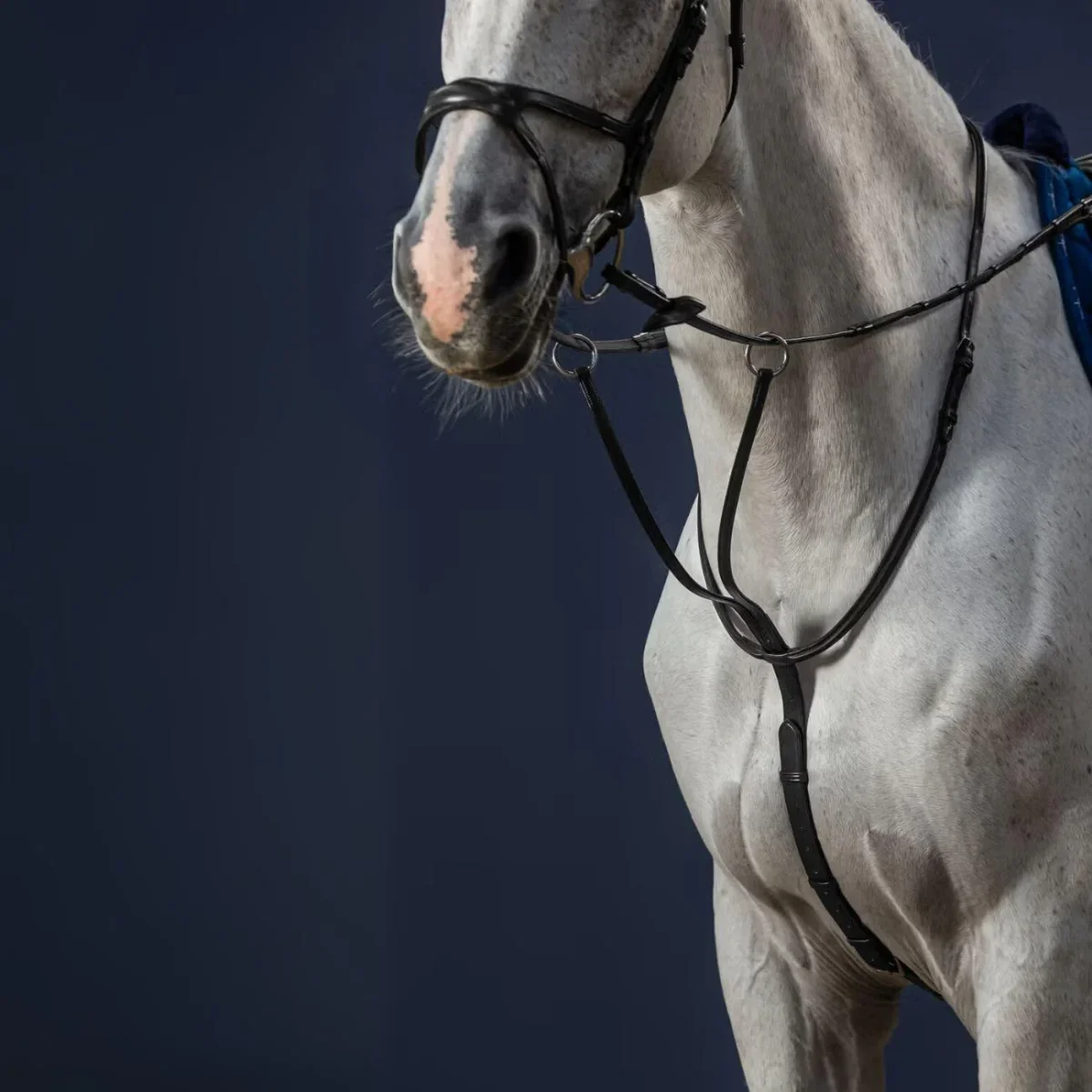 DY'ON Martingala Running New English - immagine 3