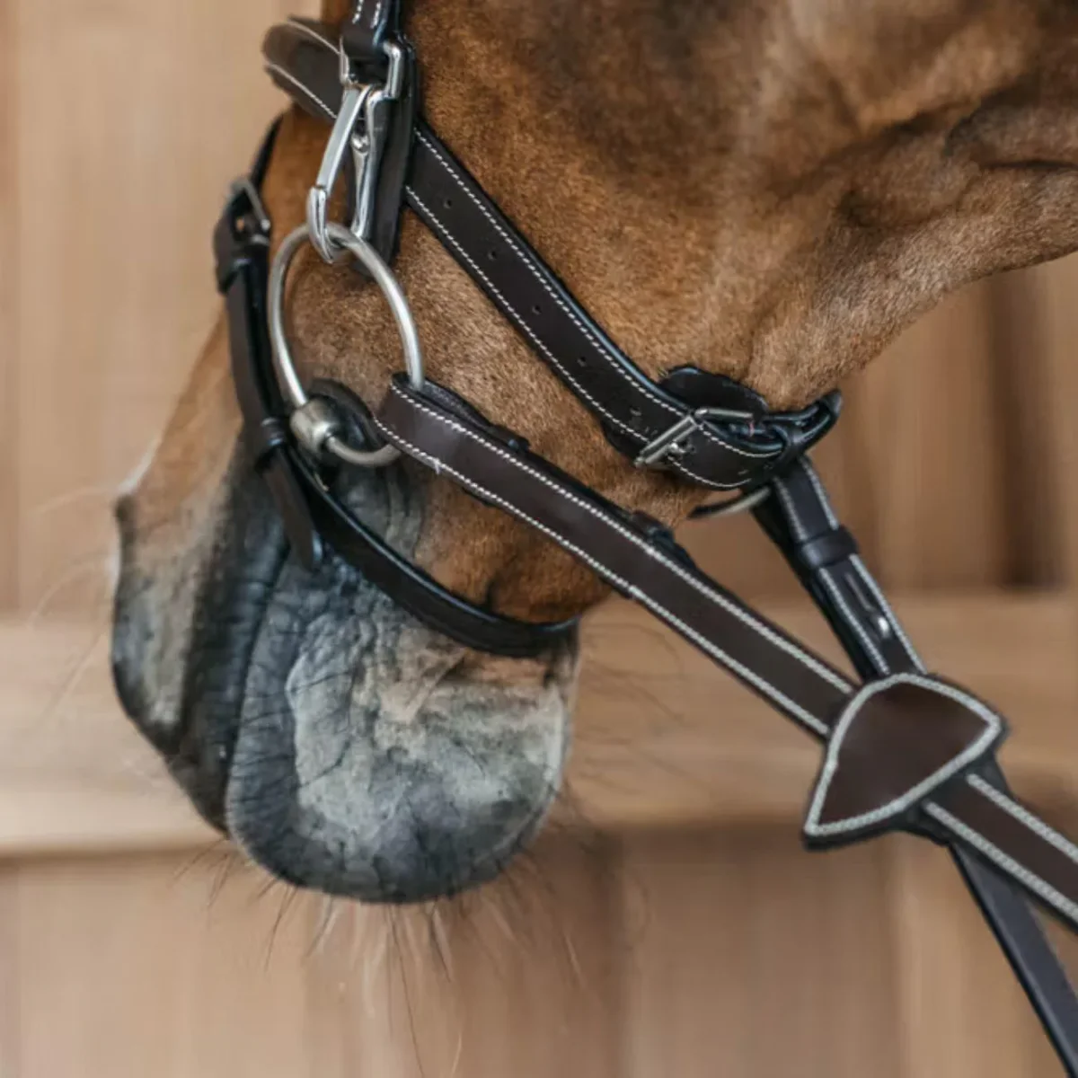 TESTIERA CON CAPEZZINA FLASH E MOSCHETTONI DY'ON - immagine 4