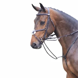 JUMP'IN REDINI TIEDEMAN JUMP'IN BLACK martingale e forchette ENH