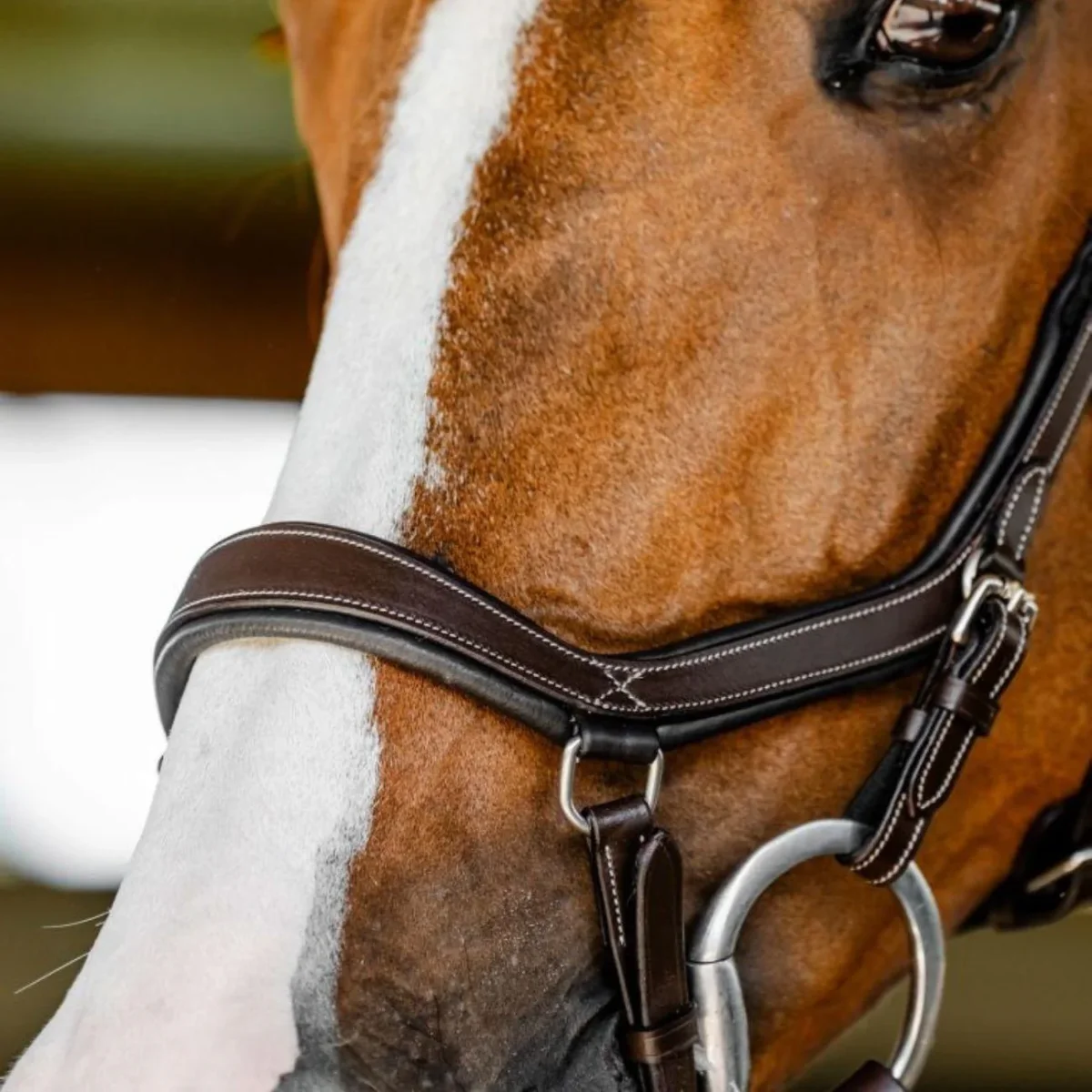 TESTIERA MICKLEM COMPETITION HORSEWARE - immagine 4