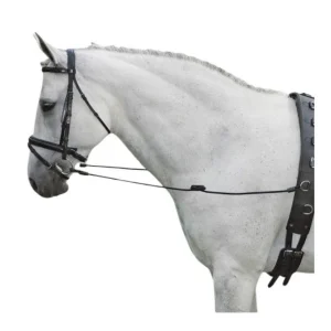 Waldhausen REDINI FISSE ELASTICHE WALDHAUSEN Nero REDINI