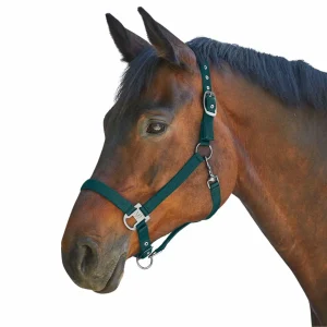 Waldhausen CAPEZZA NYLON Fir green CAPEZZINI E CAPEZZE