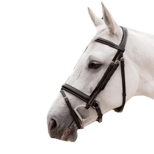 DY'ON BRIGLIA IN CUOIO CON REDINI DYON Nero TESTIERE